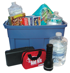 Action Property Management on Image Of An Example Disaster Supply Kit