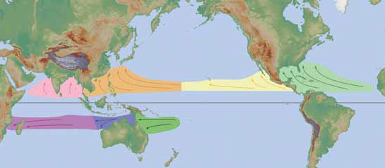 Hurricanes, typhoons, and cyclones: Earth's tropical windstorms